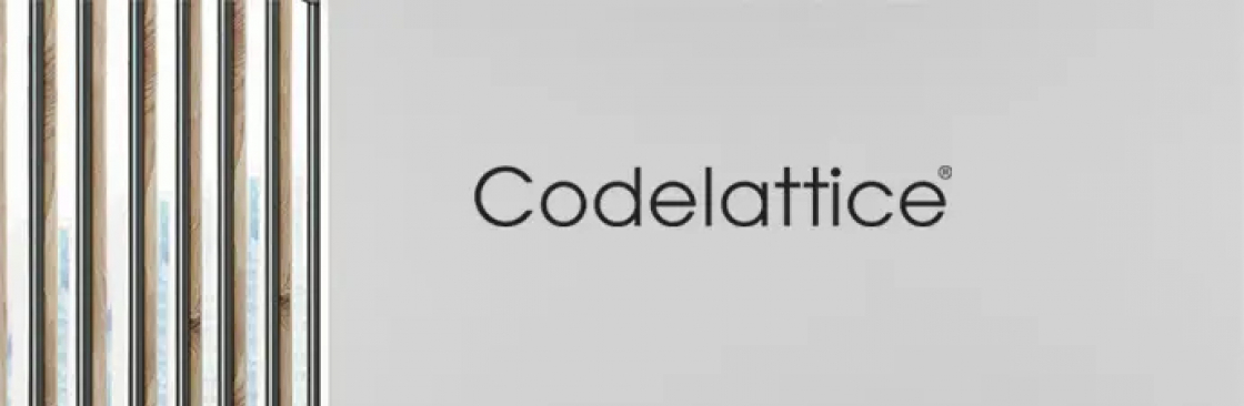 codelattice ms office Cover Image